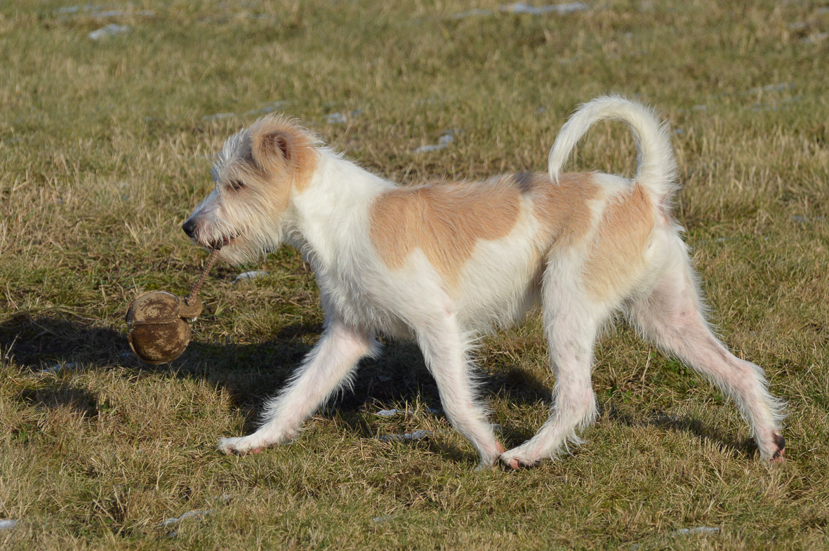 DSC_1235.jpg